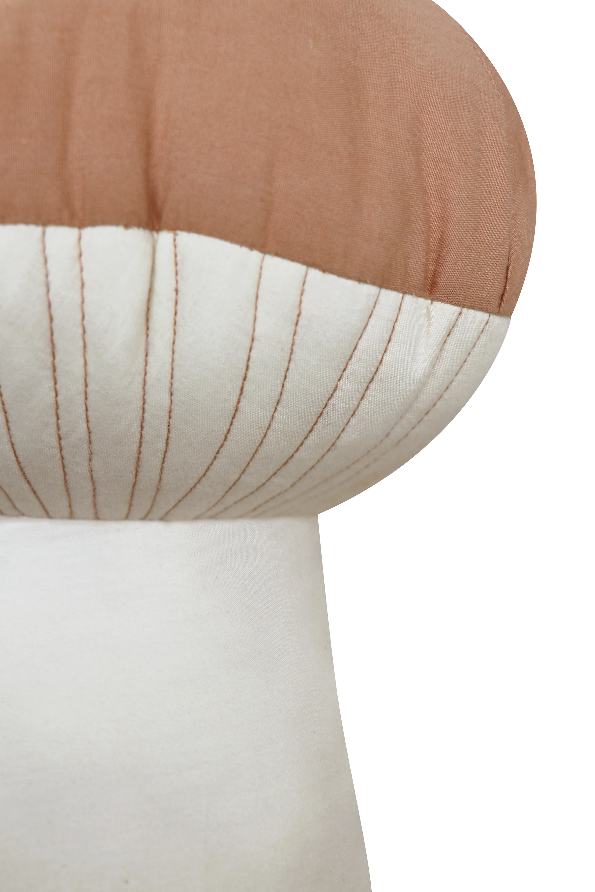 Cushion Boletus - Image 4