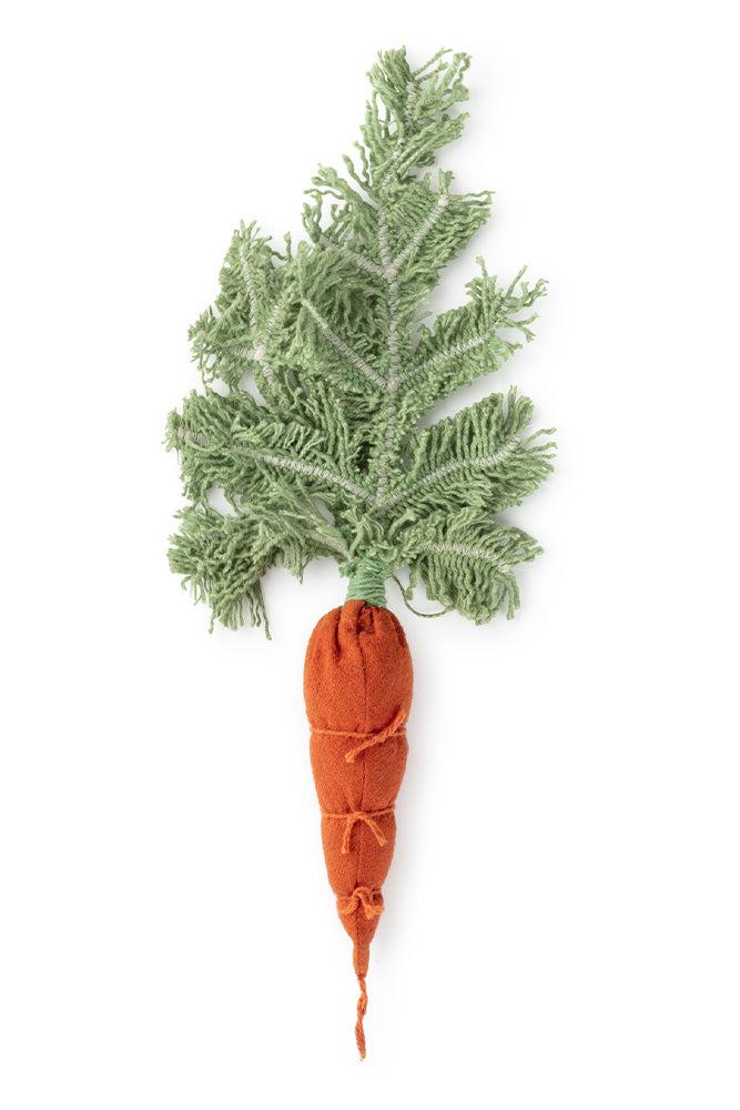 DIY CATHY THE CARROT - Image 4