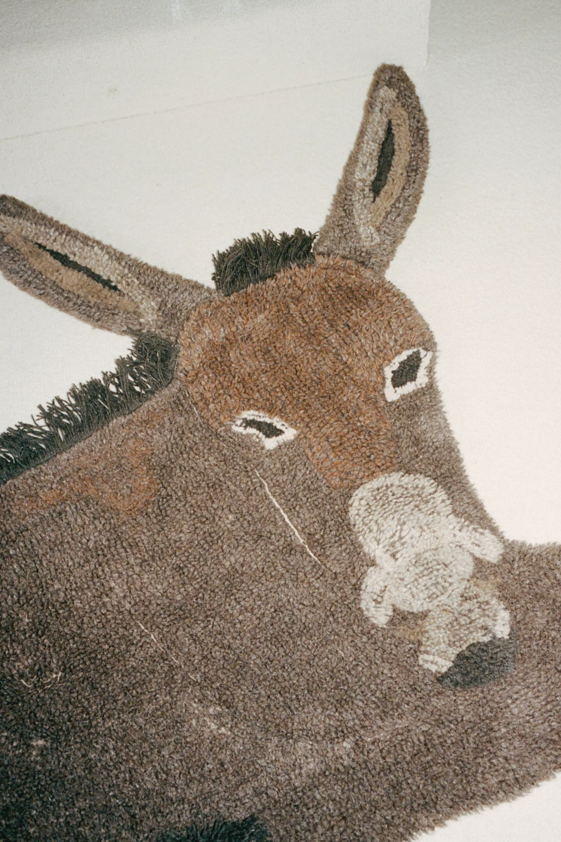 HECTOR THE DONKEY RUG - Image 8