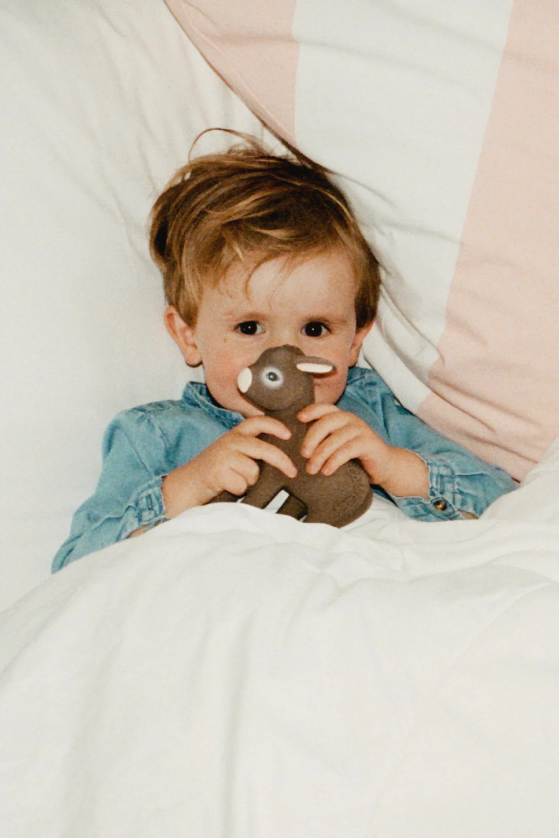 HECTOR THE DONKEY TEETHER - Image 8