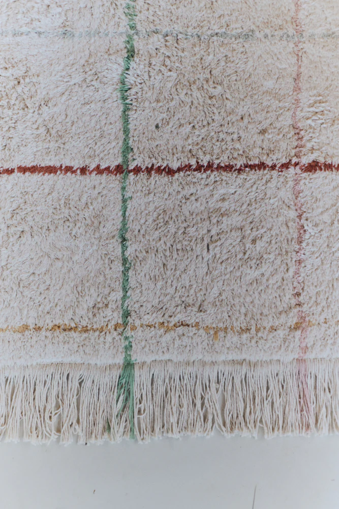 WASHABLE RUG COLOR LINES - Image 6