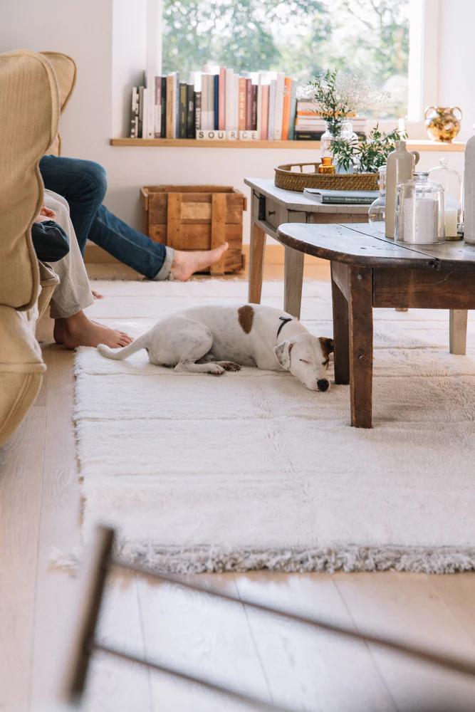 WOOLABLE RUG STEPPE - SHEEP WHITE - Image 3